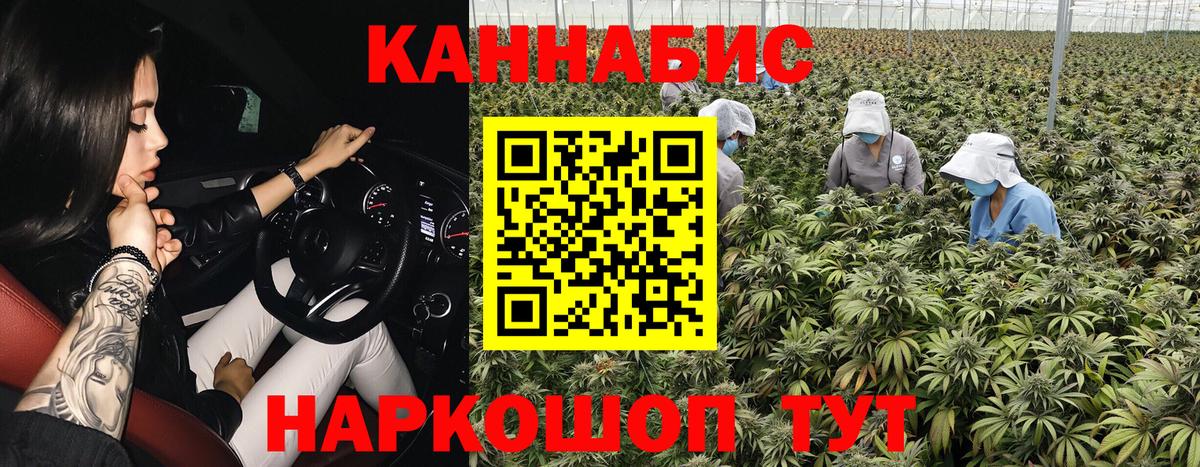 Шишки марихуана конопля  Конопля конопля  Вход с VPN  Артём 